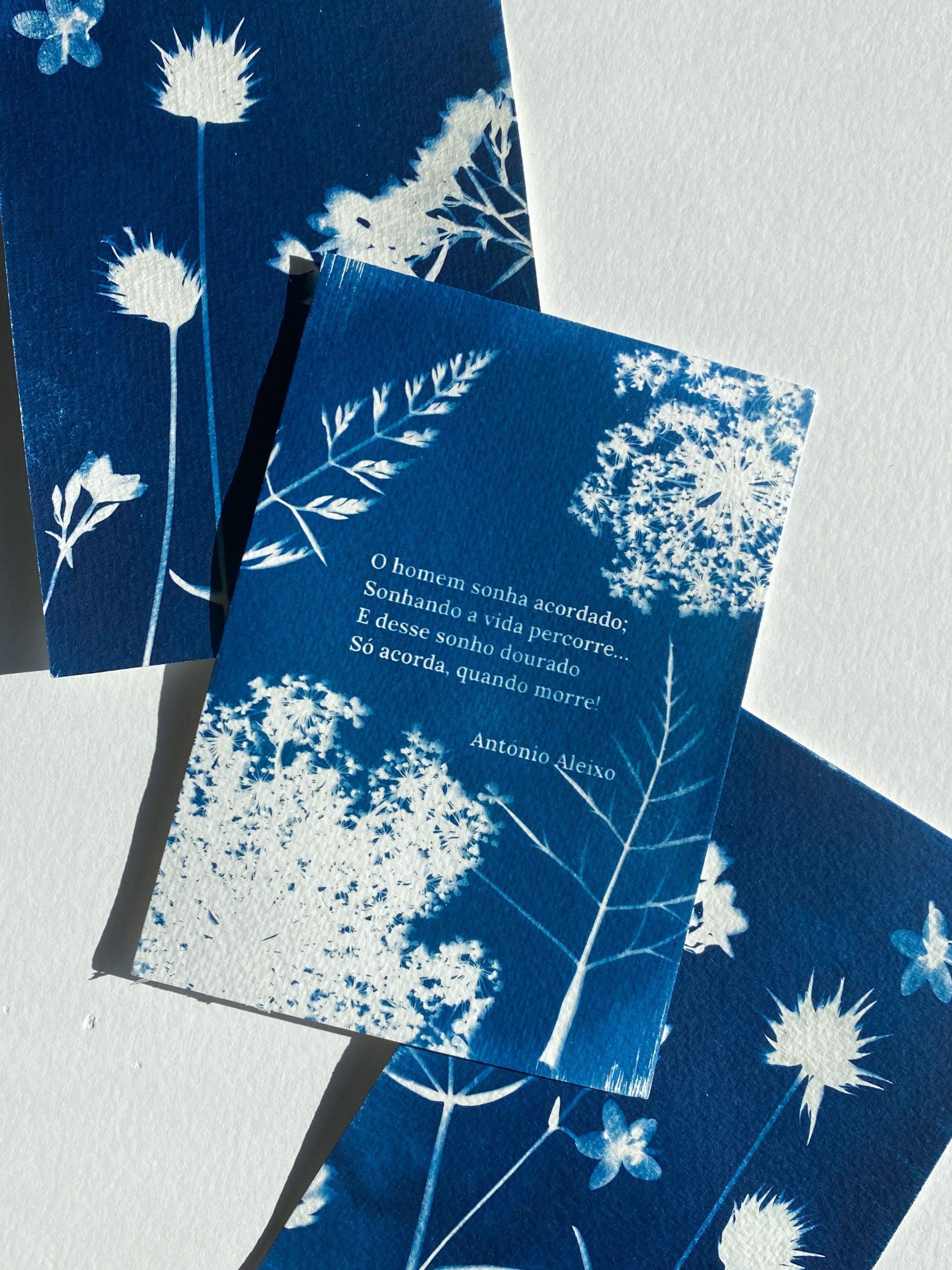 Cyanotype with Elements of the Algarvian Flora